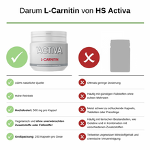 Laden Sie das Bild in den Galerie-Viewer, Darum L Carnitin von HS Activa